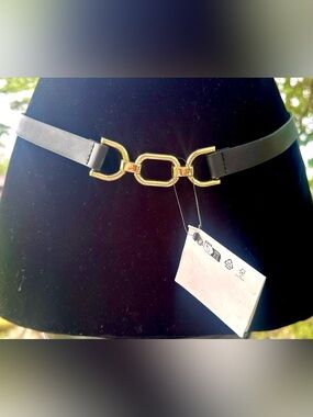 Zara Black Belt with Gold Link Buckle